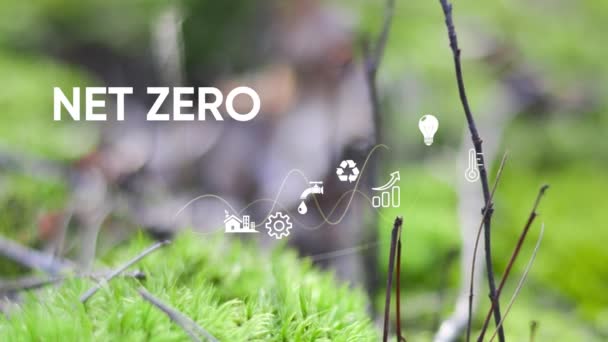 Emisja Netto Zera Kierunku Koncepcji Zerowej Emisji Dwutlenku Węgla Netto — Wideo stockowe