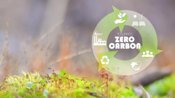 Verso Zero Carbonio 2050 Net Zero Carbon Neutral Concept 2050 — Video Stock