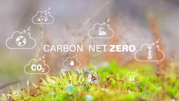 Conceito Líquido Zero Neutro Carbono 2050 Ícones Zerodigitais Líquidos Fundo — Vídeo de Stock
