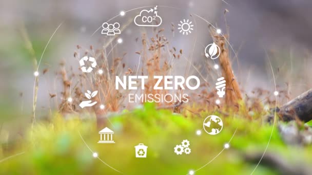 Čistá Nula Uhlíkově Neutrální Koncepce Roku2050 Čistě Nulové Ikony Zelené — Stock video