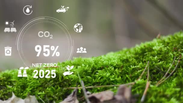 2050 Yılına Kadar Net Sıfır Emisyon Politikası Animasyon Kavramı Co2 — Stok video