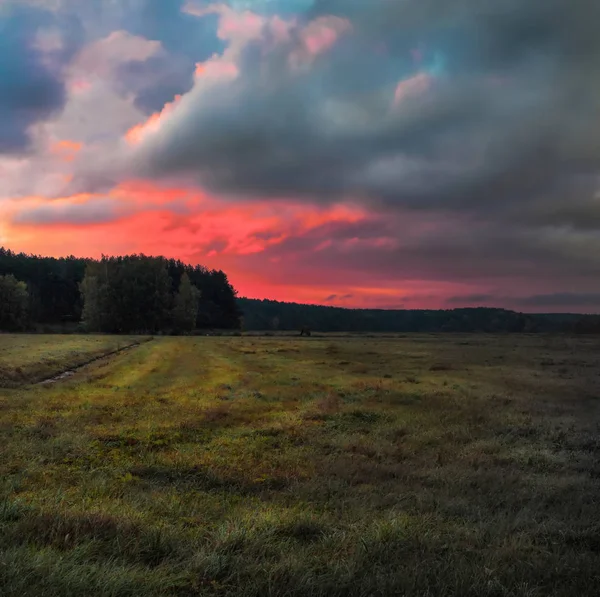 Sfotografowany Świcie Późną Jesienią Białoruś — Zdjęcie stockowe