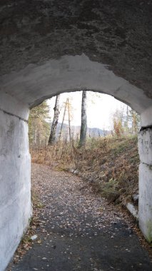 parkta tünel üzerinden görüntülemek