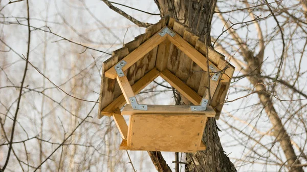 Vögel Füttern Winter — Stockfoto