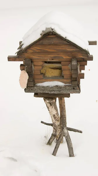 Kuş Besleyici Bir Peri Kulübe Şeklinde — Stok fotoğraf