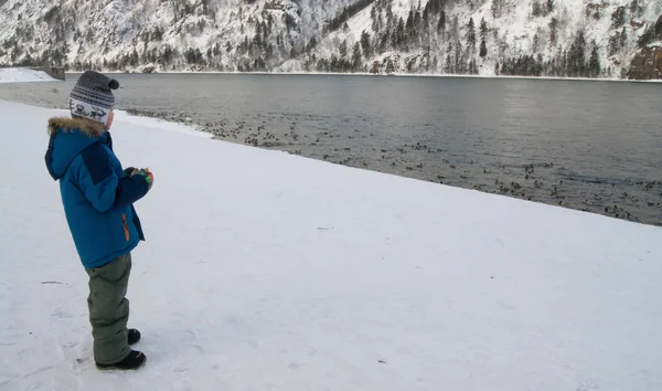 Boy Shore Going Feed Wild Ducks — Stock Photo, Image