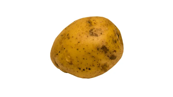 Картофель Свежий Очищенный — стоковое фото