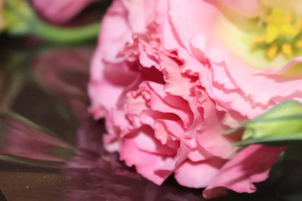 Tüm güzel düğün çiçekleri