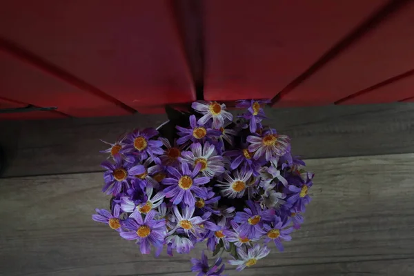 güzel çiçekler romantik ruhu 