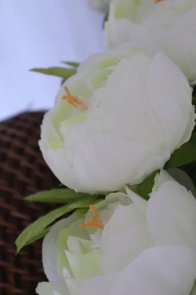 güzel çiçekler romantik ruhu 