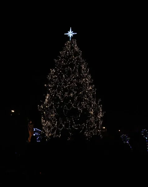 Mutlu Yıllar şehir Lviv