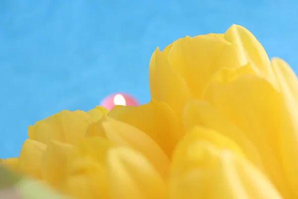 güzel çiçekler romantik ruhu 