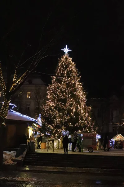 Mutlu Yıllar şehir Lviv