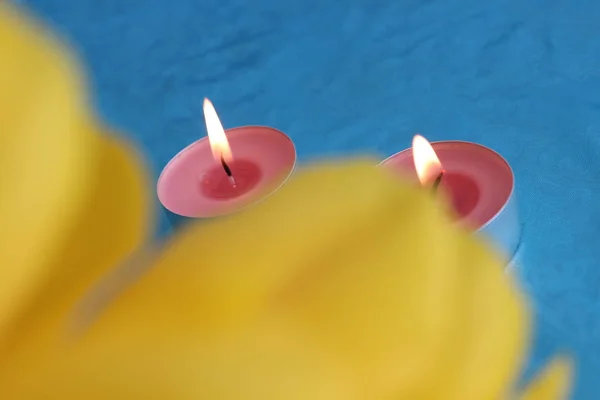 güzel çiçekler romantik ruhu 