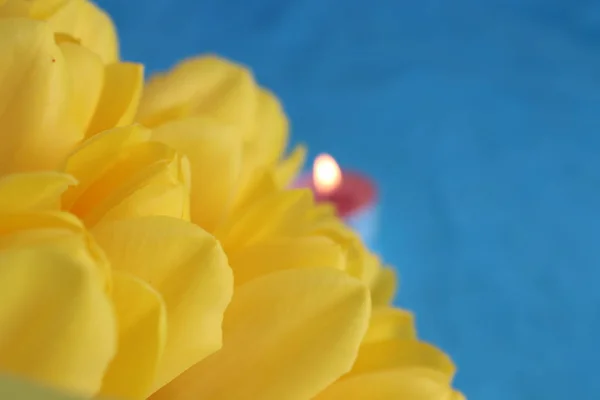 güzel çiçekler romantik ruhu 