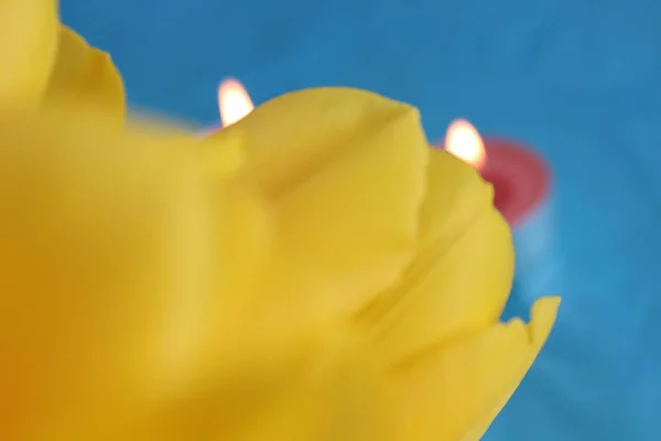 güzel çiçekler romantik ruhu 