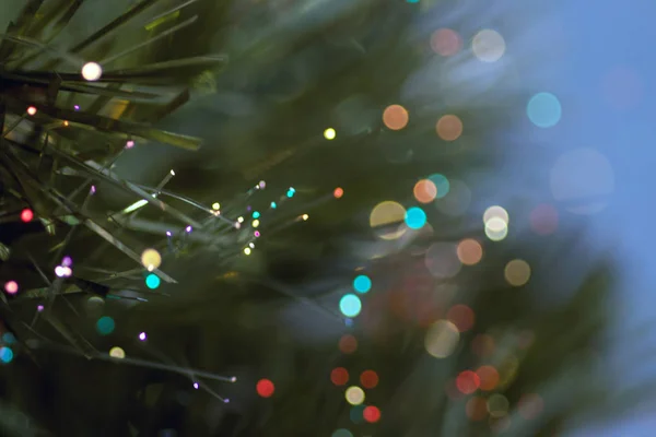 renkli festival arka plan bulanık ışıkları ile çam