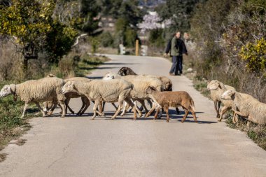 şehir dışında bir yol geçiş koyun