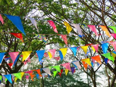 Parkta renkli bayraklar 