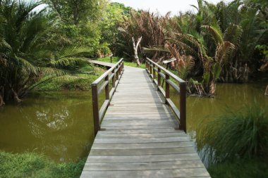 Parktaki tahta köprü.