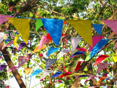 Parkta renkli bayraklar 