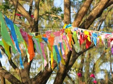 Parkta renkli bayraklar 