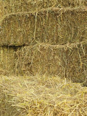 samanların arka planında saman balyaları 