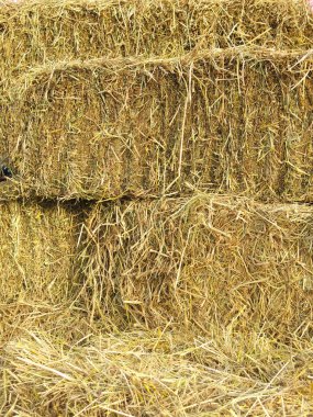 samanların arka planında saman balyaları 