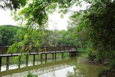 Parkın güzel manzarası 