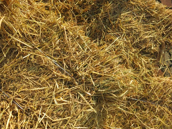 Hay Bales Background Straw — Stock Photo, Image