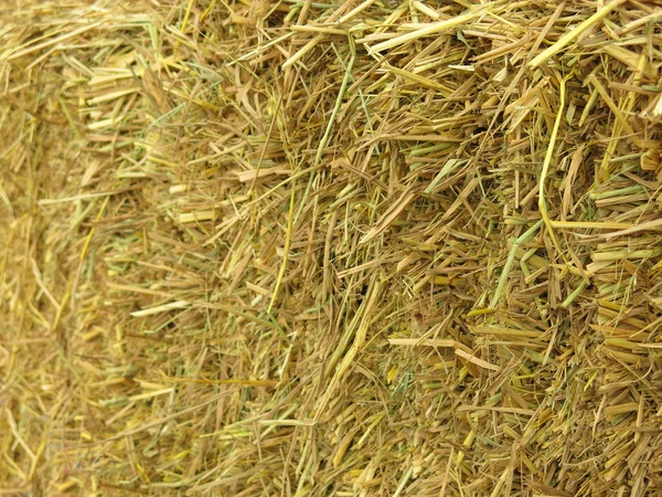 Hay Bales Background Straw — Stock Photo, Image