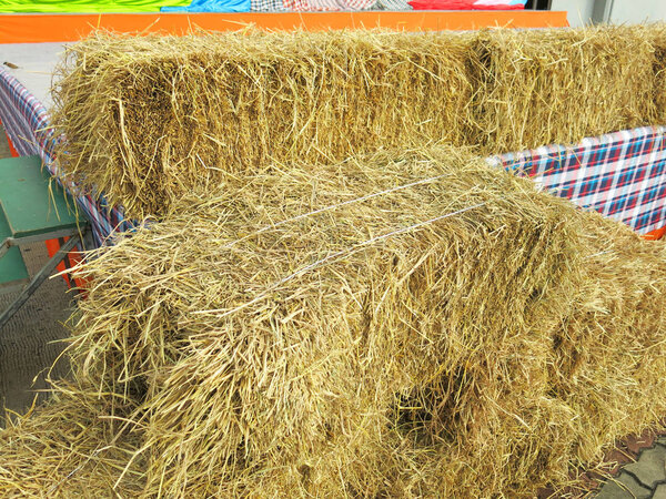 hay bales on a background of straw 