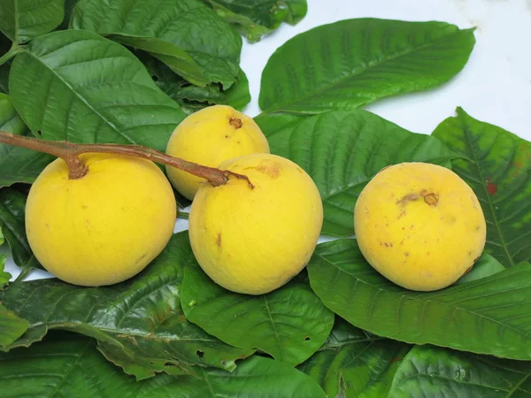 Fresh Ripe Yellow Mango Fruits Tree — Stock Photo, Image