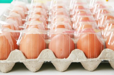 Karton kutuda taze yumurtalar, yakın plan.