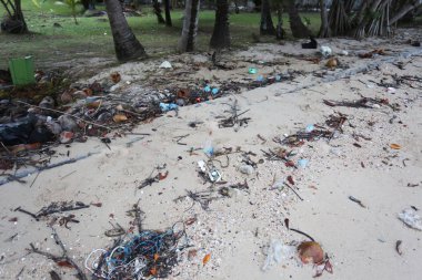 garbage on the beach, pollution, environmental problem, waste concept 