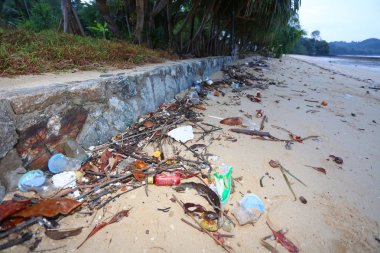 Sahildeki çöpler, kirlilik, çevre sorunu, atık kavramı 