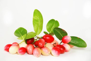 Beyaz arka planda Tayland taze meyvesi (Carissa carandas).