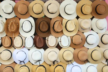 a lot of different types of hats
