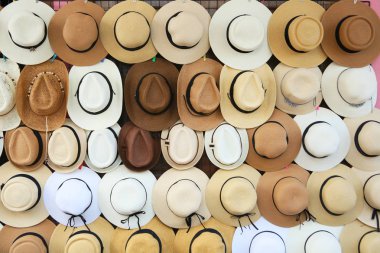 a lot of different types of hats