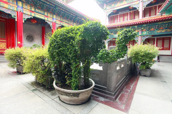 Green Plants Garden Temple — Stock Photo, Image