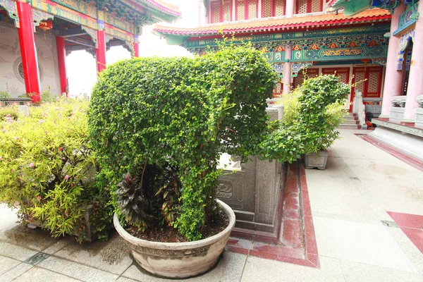 Green Plants Garden Temple — Stock Photo, Image
