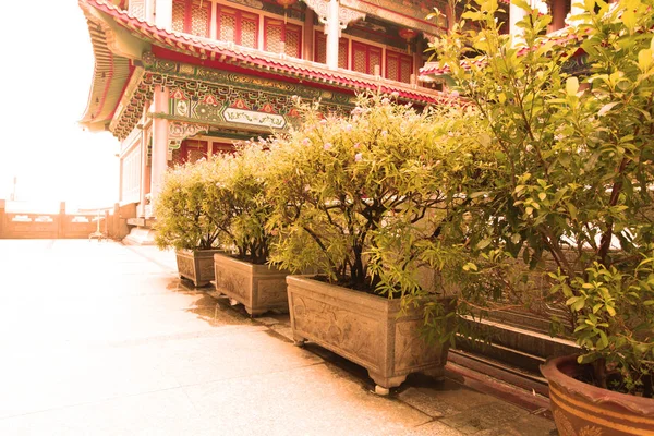 Green Plants Garden Temple — 图库照片