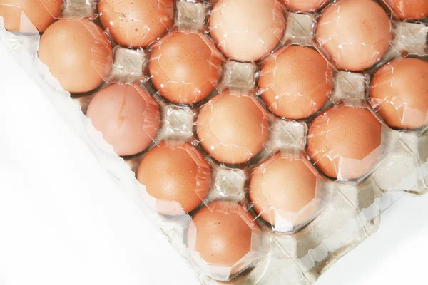 纸板箱中的新鲜鸡蛋 — 图库照片