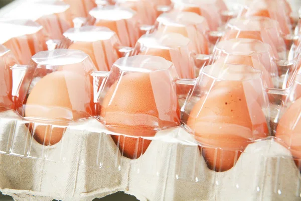Свежие Яйца Картонной Коробке Крупным Планом — стоковое фото