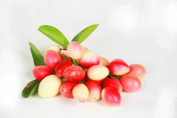 Red Coffee Beans White Background — Fotografia de Stock