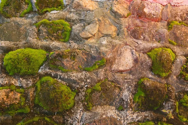 Textura Kamenné Stěny Prasklinami Mechem — Stock fotografie