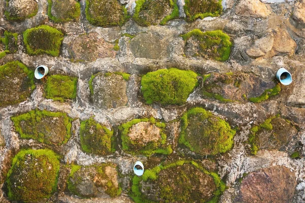 Textura Kamenné Stěny Prasklinami Mechem — Stock fotografie