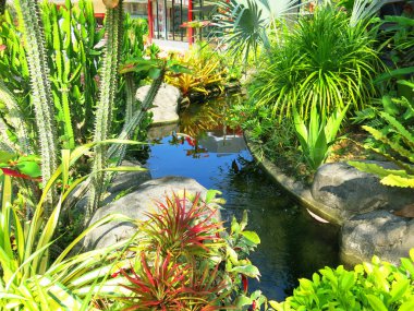 lush green vegetation in beautiful garden