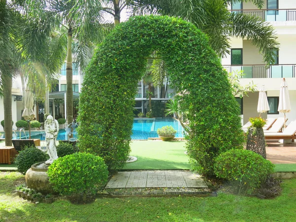 lush green vegetation in beautiful garden