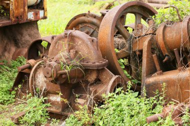 Eski paslı metal detayları yeşil çimlerde